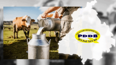 Animal Husbandry in Punjab | Punjab State (PPSC) PSC: Preparation - PPSC PCS (Punjab)