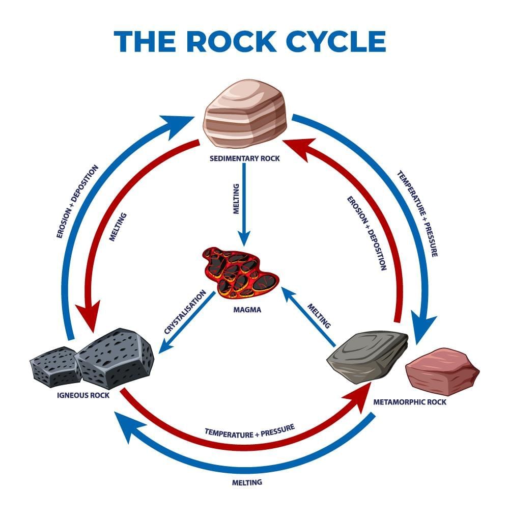 Rocks Chapter Notes | Science for Grade 4