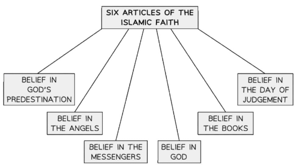 Difference Between Sunnii & Shi`a Core Beliefs | Religion, Philosophy & Ethics for GCSE/IGCSE - Year 11