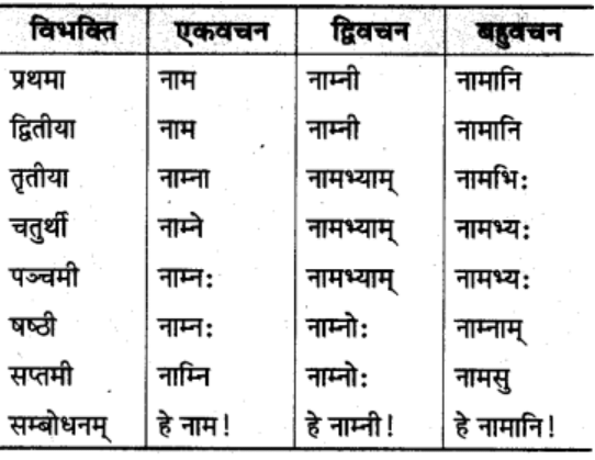 शब्‍दरूप सामान्‍य परिचय | Chapter Explanation | संस्कृत कक्षा 9 (Sanskrit Class 9)