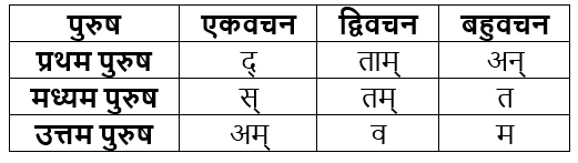 धातुरूप सामान्‍य परिचय | Chapter Explanation | संस्कृत कक्षा 9 (Sanskrit Class 9)
