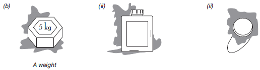 NCERT Solutions for Class 8 Maths - Visualising Solid Shapes - 1