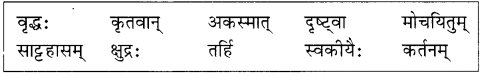 अभ्यासः - कण्टकेनैव कण्टकम्, रुचिरा, संस्कृत, कक्षा - 8 | संस्कृत कक्षा 8 (Sanskrit Class 8)