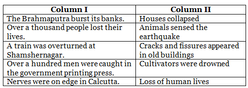 Earthquake in Assam Class 8 Worksheet English