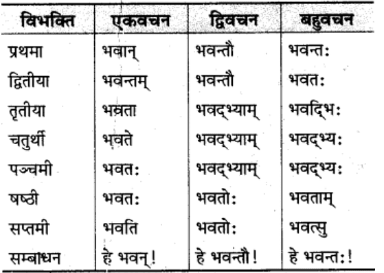 शब्‍दरूप सामान्‍य परिचय | Chapter Explanation | संस्कृत कक्षा 9 (Sanskrit Class 9)