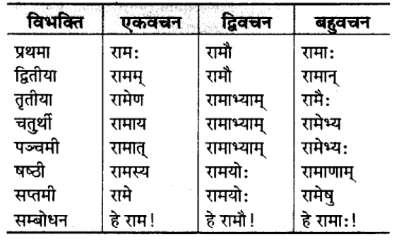 शब्‍दरूप सामान्‍य परिचय | Chapter Explanation | संस्कृत कक्षा 9 (Sanskrit Class 9)