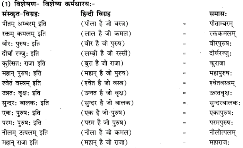 समास परिचय | Chapter Explanation | संस्कृत कक्षा 9 (Sanskrit Class 9)