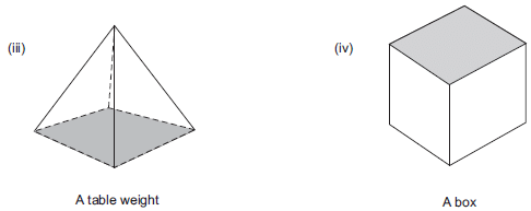 NCERT Solutions for Class 8 Maths - Visualising Solid Shapes - 2