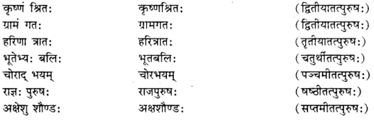 समास परिचय | Chapter Explanation | संस्कृत कक्षा 9 (Sanskrit Class 9)