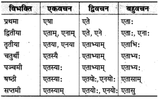 शब्‍दरूप सामान्‍य परिचय | Chapter Explanation | संस्कृत कक्षा 9 (Sanskrit Class 9)