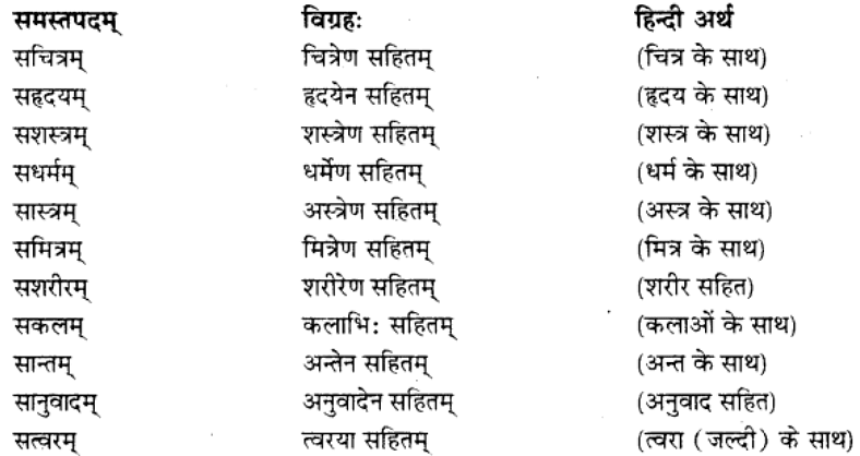 समास परिचय | Chapter Explanation | संस्कृत कक्षा 9 (Sanskrit Class 9)
