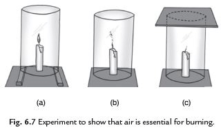 Long Answers - Combustion and Flame, Science, Class 8