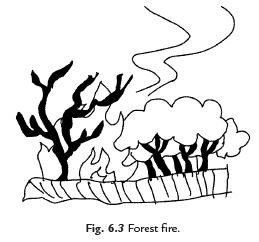 Short Answers - Combustion and Flame, Science, Class 8