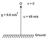 NCERT Solutions for Class 9 Science Chapter 9 - Gravitation