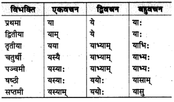 शब्‍दरूप सामान्‍य परिचय | Chapter Explanation | संस्कृत कक्षा 9 (Sanskrit Class 9)