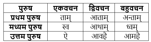 धातुरूप सामान्‍य परिचय | Chapter Explanation | संस्कृत कक्षा 9 (Sanskrit Class 9)