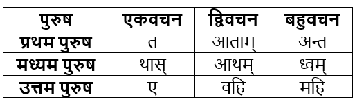 धातुरूप सामान्‍य परिचय | Chapter Explanation | संस्कृत कक्षा 9 (Sanskrit Class 9)