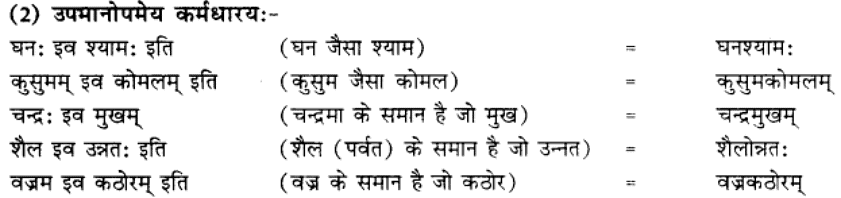 समास परिचय | Chapter Explanation | संस्कृत कक्षा 9 (Sanskrit Class 9)