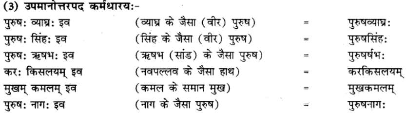 समास परिचय | Chapter Explanation | संस्कृत कक्षा 9 (Sanskrit Class 9)
