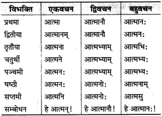 शब्‍दरूप सामान्‍य परिचय | Chapter Explanation | संस्कृत कक्षा 9 (Sanskrit Class 9)