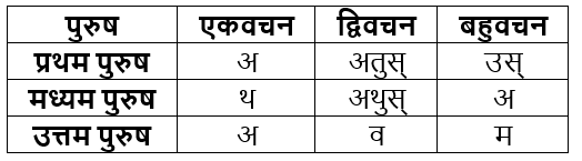 धातुरूप सामान्‍य परिचय | Chapter Explanation | संस्कृत कक्षा 9 (Sanskrit Class 9)