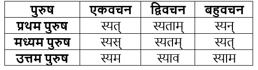 धातुरूप सामान्‍य परिचय | Chapter Explanation | संस्कृत कक्षा 9 (Sanskrit Class 9)