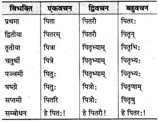 शब्‍दरूप सामान्‍य परिचय | Chapter Explanation | संस्कृत कक्षा 9 (Sanskrit Class 9)