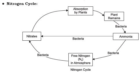 Natural Resources Class 9 Notes Science