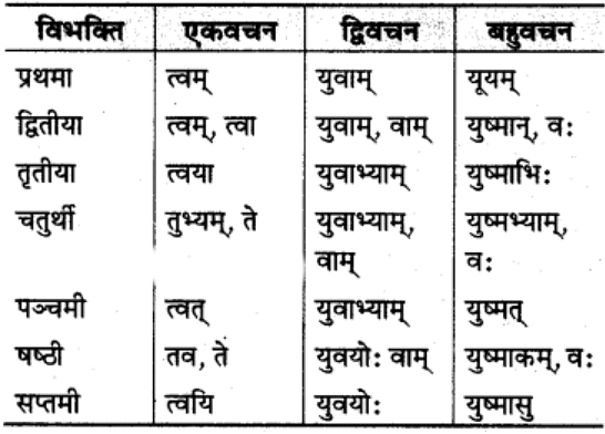 शब्‍दरूप सामान्‍य परिचय | Chapter Explanation | संस्कृत कक्षा 9 (Sanskrit Class 9)