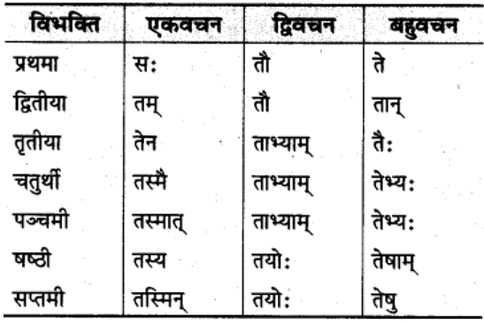 शब्‍दरूप सामान्‍य परिचय | Chapter Explanation | संस्कृत कक्षा 9 (Sanskrit Class 9)