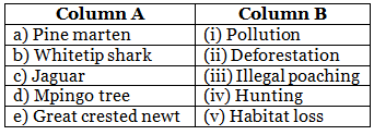 Whose Place is it Anyway? Class 8 Worksheet English