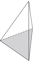 Important Questions for Class 8 Maths - Visualising Solid Shapes
