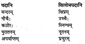 अभ्यास - लालनगीतम् | NCERT Solution | संस्कृत कक्षा 7 (Sanskrit Class 7)
