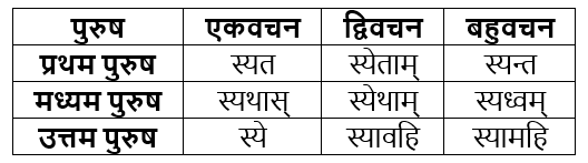 धातुरूप सामान्‍य परिचय | Chapter Explanation | संस्कृत कक्षा 9 (Sanskrit Class 9)