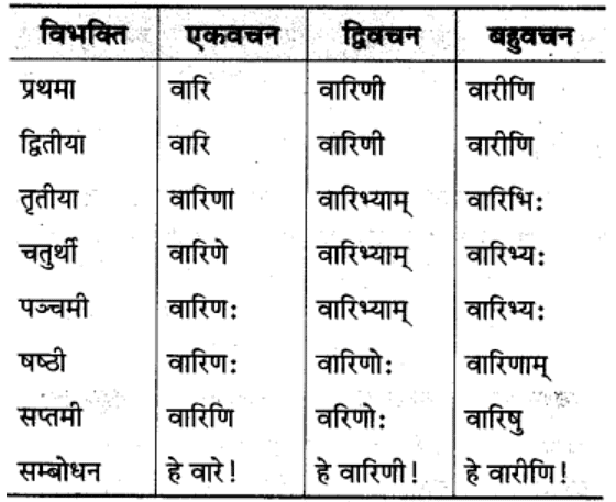 शब्‍दरूप सामान्‍य परिचय | Chapter Explanation | संस्कृत कक्षा 9 (Sanskrit Class 9)