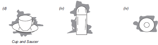 NCERT Solutions for Class 8 Maths - Visualising Solid Shapes - 1