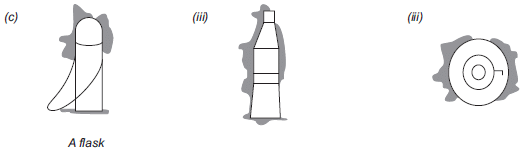 NCERT Solutions for Class 8 Maths - Visualising Solid Shapes - 1