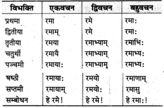 शब्‍दरूप सामान्‍य परिचय | Chapter Explanation | संस्कृत कक्षा 9 (Sanskrit Class 9)