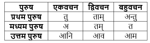 धातुरूप सामान्‍य परिचय | Chapter Explanation | संस्कृत कक्षा 9 (Sanskrit Class 9)