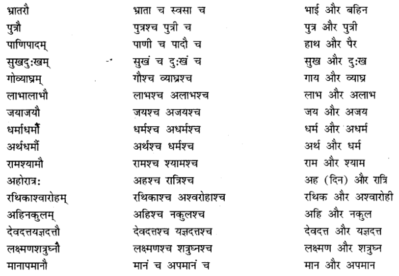 समास परिचय | Chapter Explanation | संस्कृत कक्षा 9 (Sanskrit Class 9)