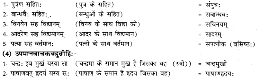 समास परिचय | Chapter Explanation | संस्कृत कक्षा 9 (Sanskrit Class 9)