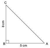 NCERT Solutions for Class 8 Maths Chapter 5 - Squares and Square Roots (Exercise 5.3)