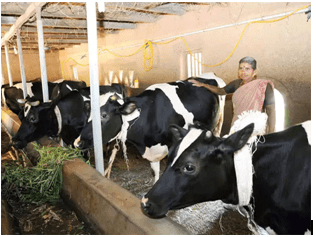 Crop Production and Management Class 8 Notes Science Chapter 1
