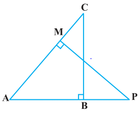 NCERT Solutions for Class 10 Maths Chapter 6 - Triangles (Exercise 6.1)