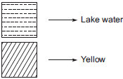 NCERT Solutions for Class 8 Maths - Visualising Solid Shapes - 2