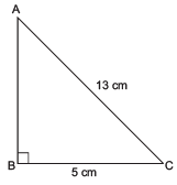 NCERT Solutions for Class 8 Maths Chapter 5 - Squares and Square Roots (Exercise 5.3)