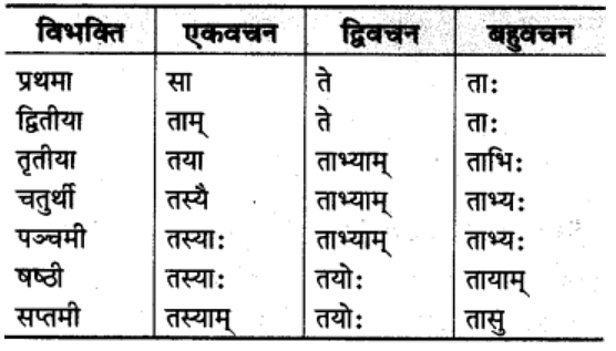 शब्‍दरूप सामान्‍य परिचय | Chapter Explanation | संस्कृत कक्षा 9 (Sanskrit Class 9)