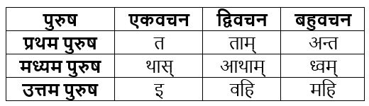 धातुरूप सामान्‍य परिचय | Chapter Explanation | संस्कृत कक्षा 9 (Sanskrit Class 9)