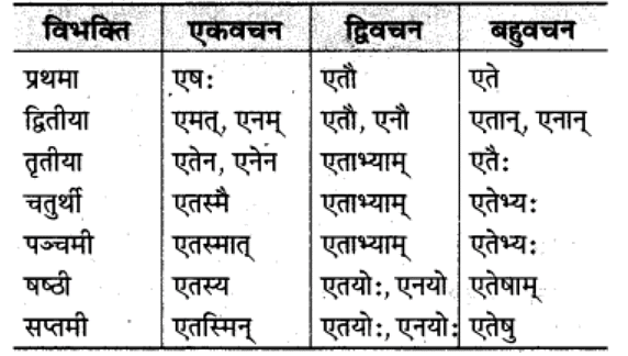 शब्‍दरूप सामान्‍य परिचय | Chapter Explanation | संस्कृत कक्षा 9 (Sanskrit Class 9)