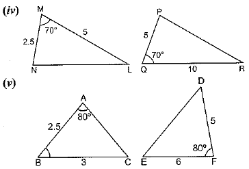 NCERT Solutions for Class 10 Maths Chapter 6 - Triangles (Exercise 6.1)